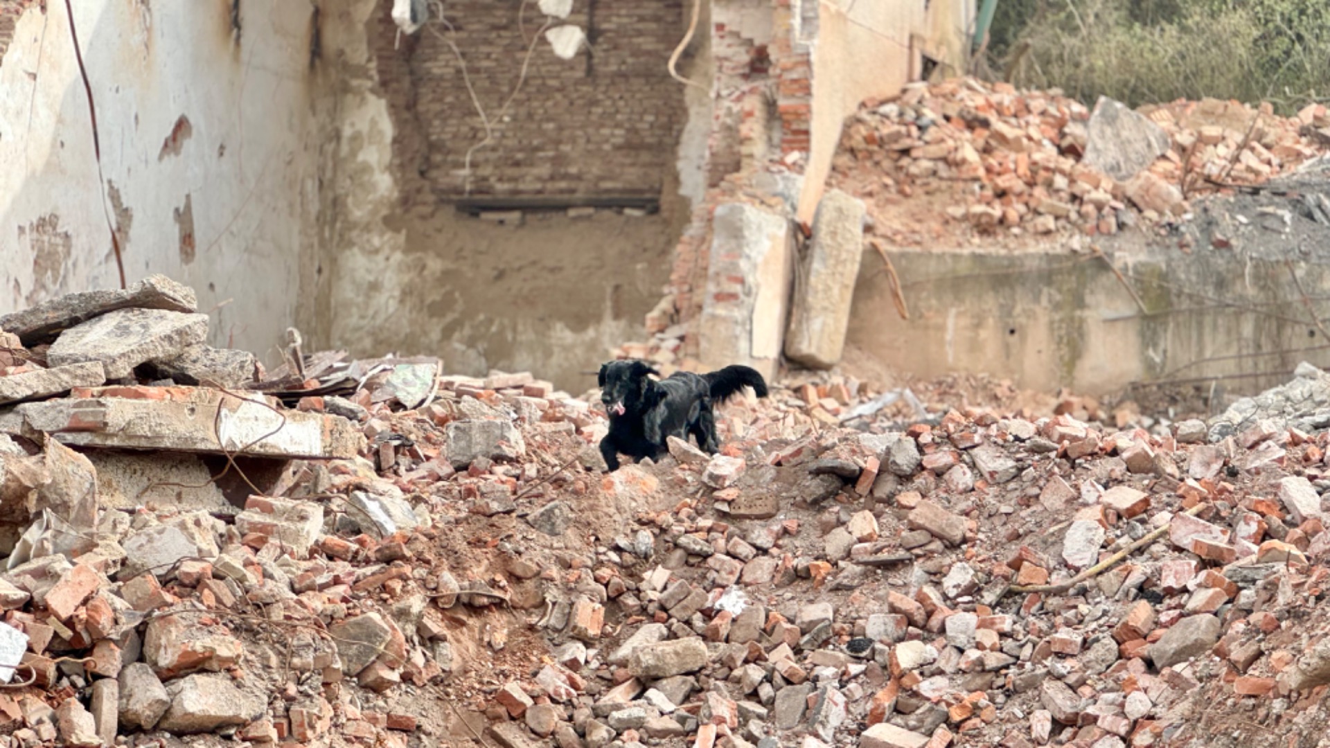 Sutinové vyhledávání - trénink